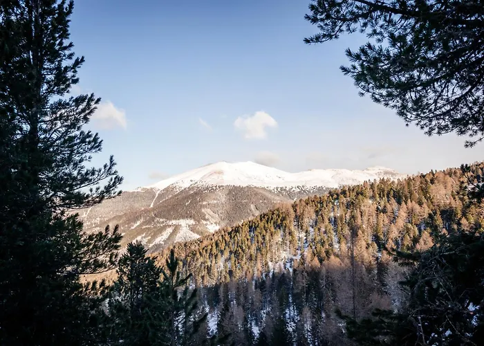 307 * Turracher Hohe