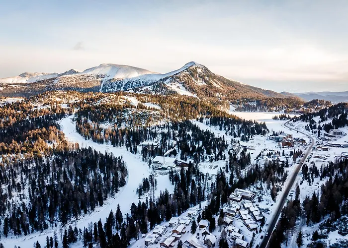 Domek alpejski 307 *